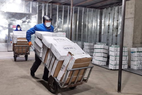 守护“舌尖上的安全” 辽源龙山区设立冷链食品监管仓，严控日用品销售安全